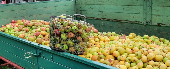 BuKi Biozertifizierter Apfelsaft