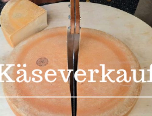 Käseverkauf zugunsten von BuKi